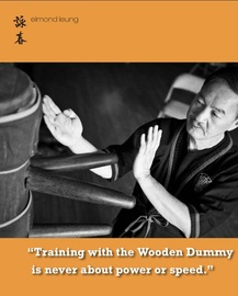 PictureSifu Elmond Leung Senior Wing Tsun Instructor in the Wing Chun Illustrated Magazine #3